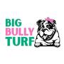 Big Bully Turf, San Diego, California, CA, USA