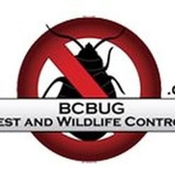 Canada Bed Bug Vancouver - Vancouver, BC, Canada