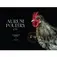 Aurum Poultry Co. - Albion, VIC, Australia