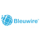 Bleuwire IT Services - Miami, FL, USA