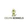 Celyn Kennels -  Boarding kennels Denbighshire - Ruthin, Denbighshire, United Kingdom