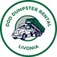 DDD Dumpster Rental Livonia - Livonia, MI, USA