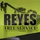 Reyes Tree Service - Vancouver, WA, USA
