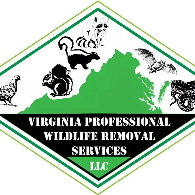 Virginia Professional Wildlife Removal Services - Richmond, VA, USA