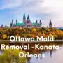 Ottawa Mold Removal -Kanata-Orleans, Ottawa, ON, Canada