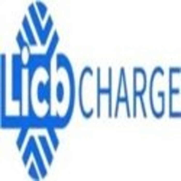 China LiCB AC DC EV Charger Co., Ltd, Motueka, Abel Tasman, New Zealand