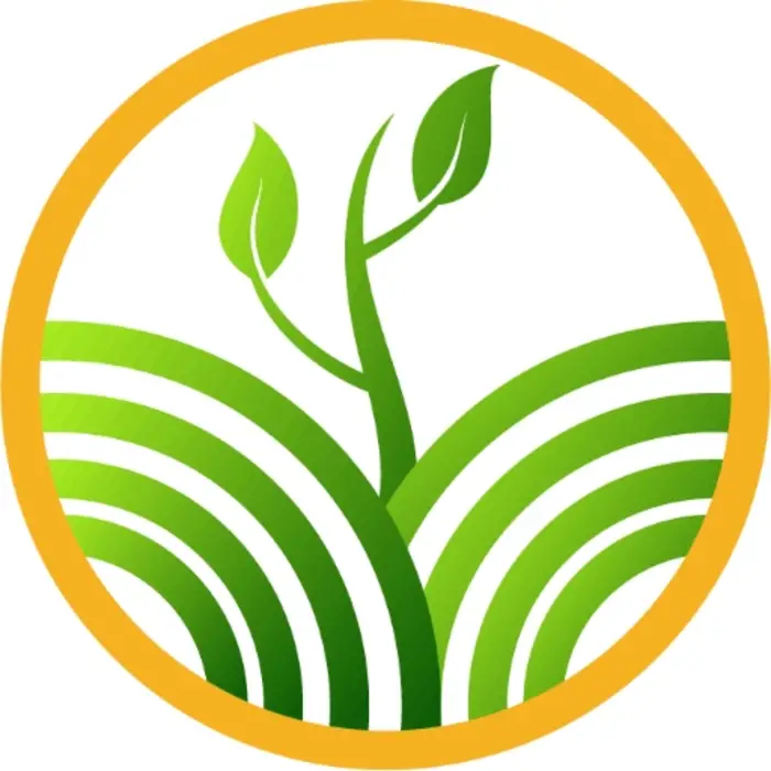 RV Tree Care, Darwin, NT, Australia