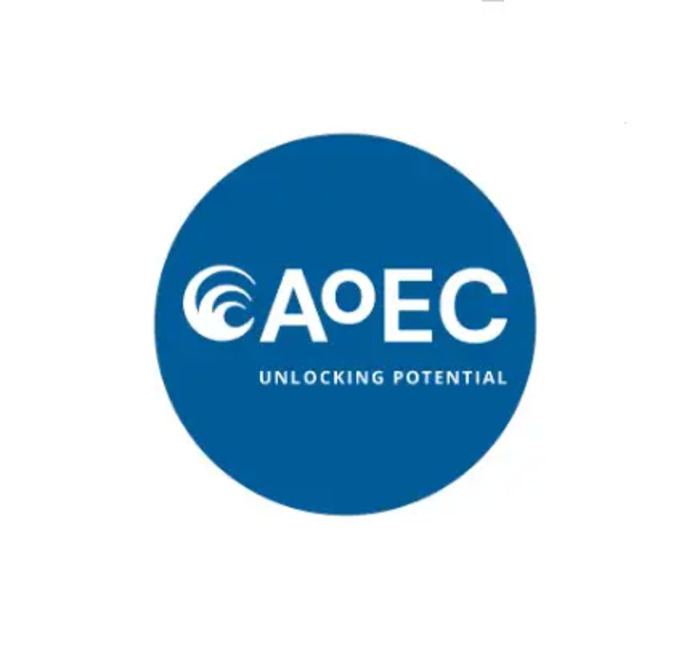 Academy of Executive Coaching Ltd (AoEC), Greater London, London W, United Kingdom