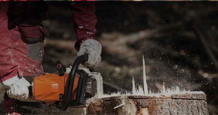 Tree Services Adelaide Hills