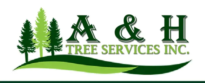 A & H Tree Services Inc., Columbia Falls, MT, USA