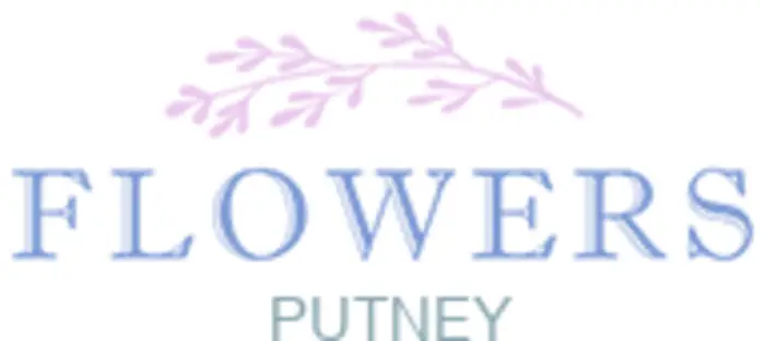 Flowers Putney, Putney, London S, United Kingdom