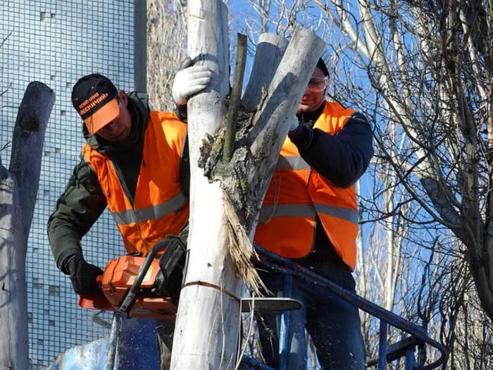St. Charles Tree Service, Saint Louis, MO, USA