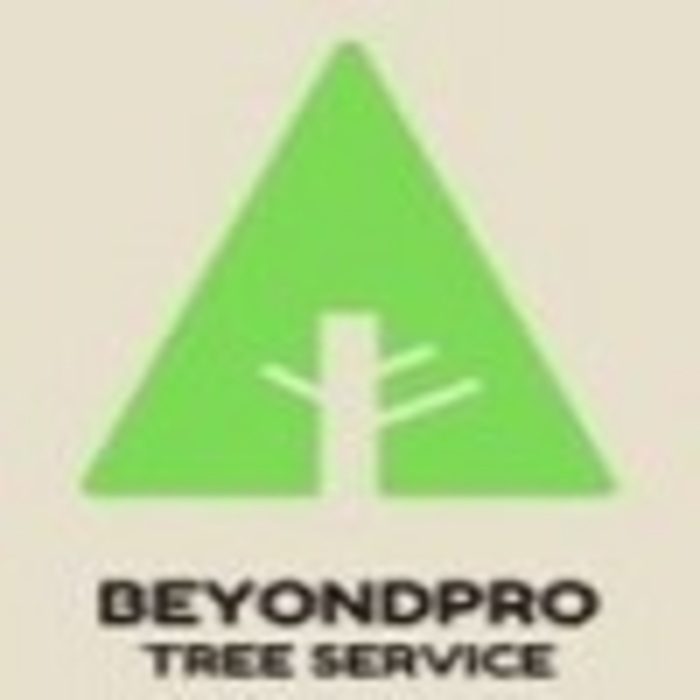 BeyondPro Tree Service, Tampa, FL, USA