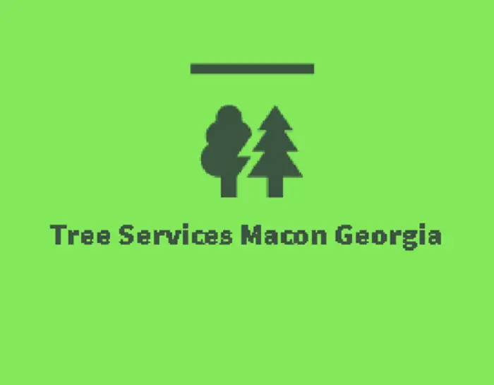 Tree Services Macon Georgia, Macon, GA, USA