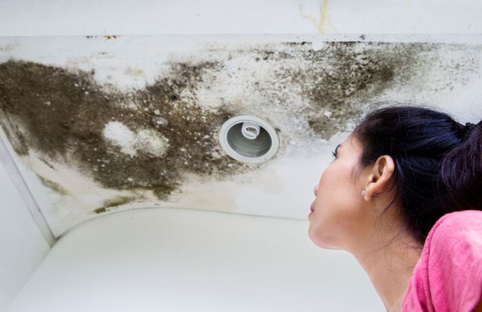 Water Damage Experts of Orange County, Seal Beach, CA, USA