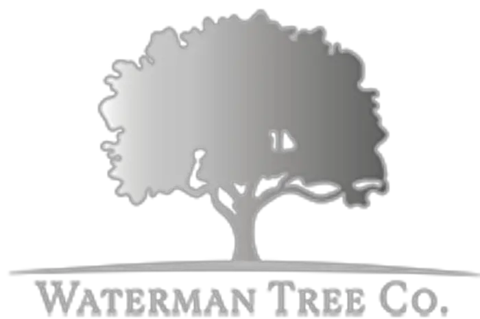 Waterman Tree Co, Hitchin, Hertfordshire, United Kingdom