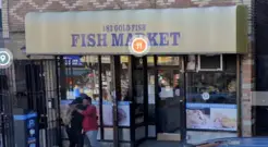 183 Gold Fish Market - The Bronx, NY, USA