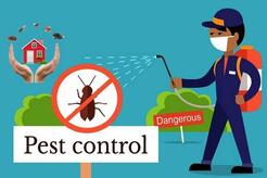 24/7 Local Pest Control - Miami, FL, USA
