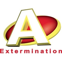 A Extermination Saint-Jean-Sur-Richelieu inc - Saint-Jean-sur-Richelieu, QC, Canada A Extermination Saint-Jean-Sur-Richelieu inc - Saint-Jean-sur-Richelieu, QC, Canada