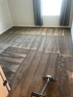 A Plus Carpet Cleaning - Columbus, Ohio, OH, USA