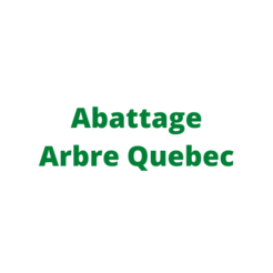 Abattage Arbre Quebec - Qubec, QC, Canada