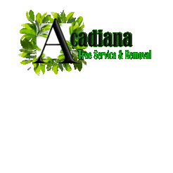 www.acadianatreeremoval.com
