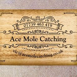 Ace Mole Catching - Great Yarmouth, Norfolk, United Kingdom