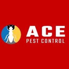 Ace Possum Removal Melbourne - Melbourne, VIC, Australia