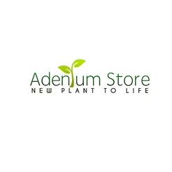 Adenium Store - Lancashire, Lancashire, United Kingdom