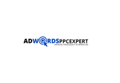 Adwords PPC Expert - New  York, NY, USA