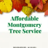 Affordable Montgomery Tree Service - Montgomery, AL, USA