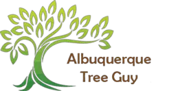 Albuquerque Tree Guy - Alburquerque, NM, USA