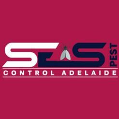 Ant Control Adelaide - Adelaide, SA, Australia