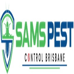 Ant Pest Control Brisbane - Brisbane, QLD, Australia