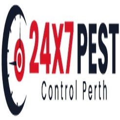 Ant Pest Control Perth - Perth, WA, Australia