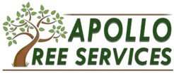 Apollo Tree Service - Montrose, Angus, United Kingdom