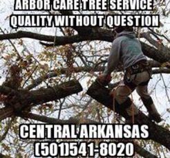 Arbor Care Tree Service - Little Rock, AR, USA