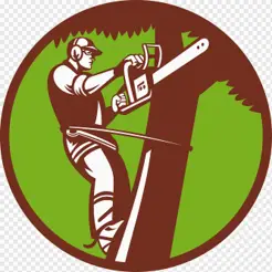 Arborist Lethbridge - Lethbridge, AB, Canada Arborist Lethbridge - Lethbridge, AB, Canada