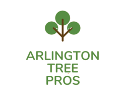 Arlington Tree Pros - Arlington, TX, USA