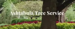 Ashtabula Tree Service - Cleveland, OH, USA