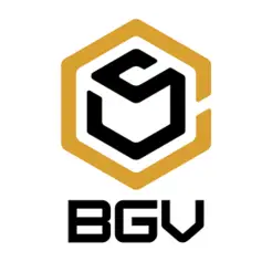 BGV Construction & Windows LLC - Washington, DC, USA