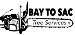 Bay To Sac Tree Services - Vallejo, CA, USA