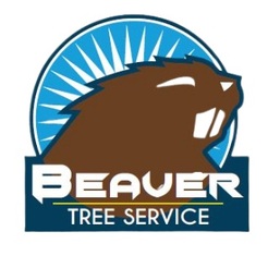 Beaver Tree Services Whanganui - Wanganui, Manawatu-Wanganui, New Zealand