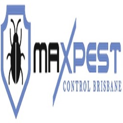 Bed Bug Control Brisbane - Brisbane City, QLD, Australia Bed Bug Control Brisbane - Brisbane City, QLD, Australia