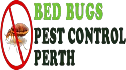 Bed Bugs Pest Control - Perth, WA, Australia