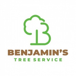 Benjamin\'s Tree Service - Las Vegas, NV, USA