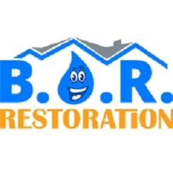 Best Option Restoration (B.O.R) of High Point - High Point, NC, USA