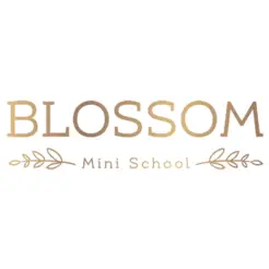 Blossom Mini School - Morningside, QLD, Australia