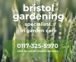 Gardeners in Bristol