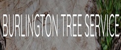 Burlington Tree Service - Burlington, ON, Canada